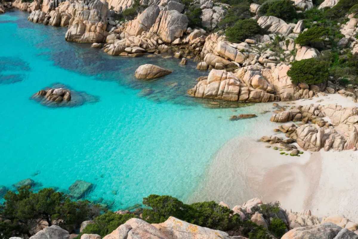 Vista dall’alto del parcheggio e imbarco auto sui traghetti a Palau, auto in fila, traghetto in attesa, scenario estivo